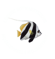 Łódzkie stowarzyszenie akwarystów i terrarystów
